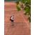 t23222,32890tg881606,881607tgp147746,147747g157122 image