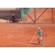 t23437,18856tg885570,884210tgp147782,147783g157250 image
